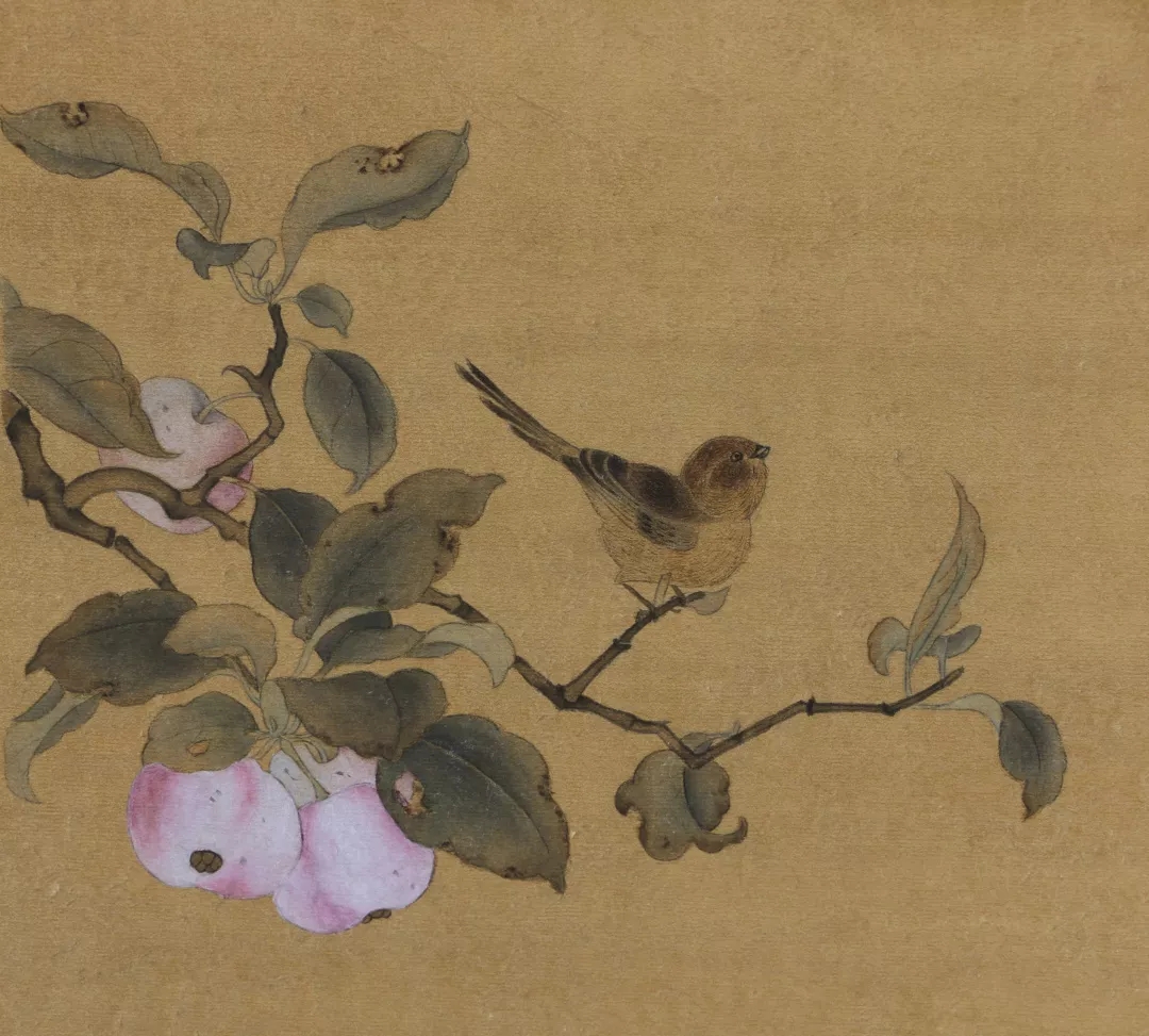 酒雅茜作品