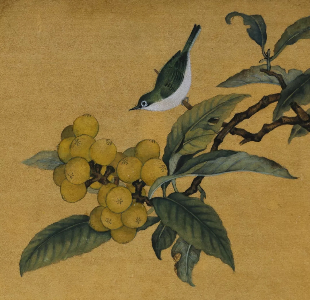解梦月作品