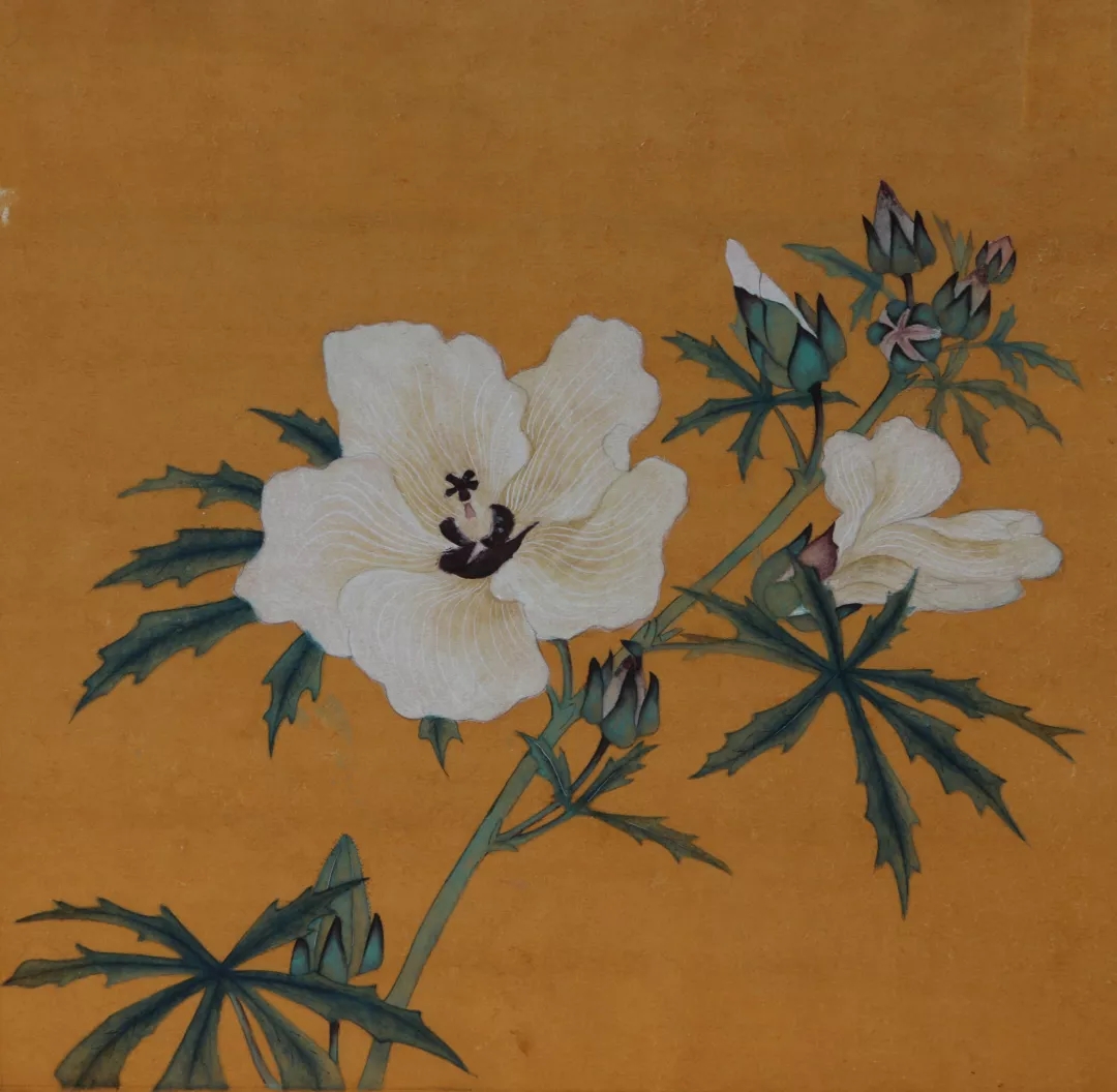 李鑫作品