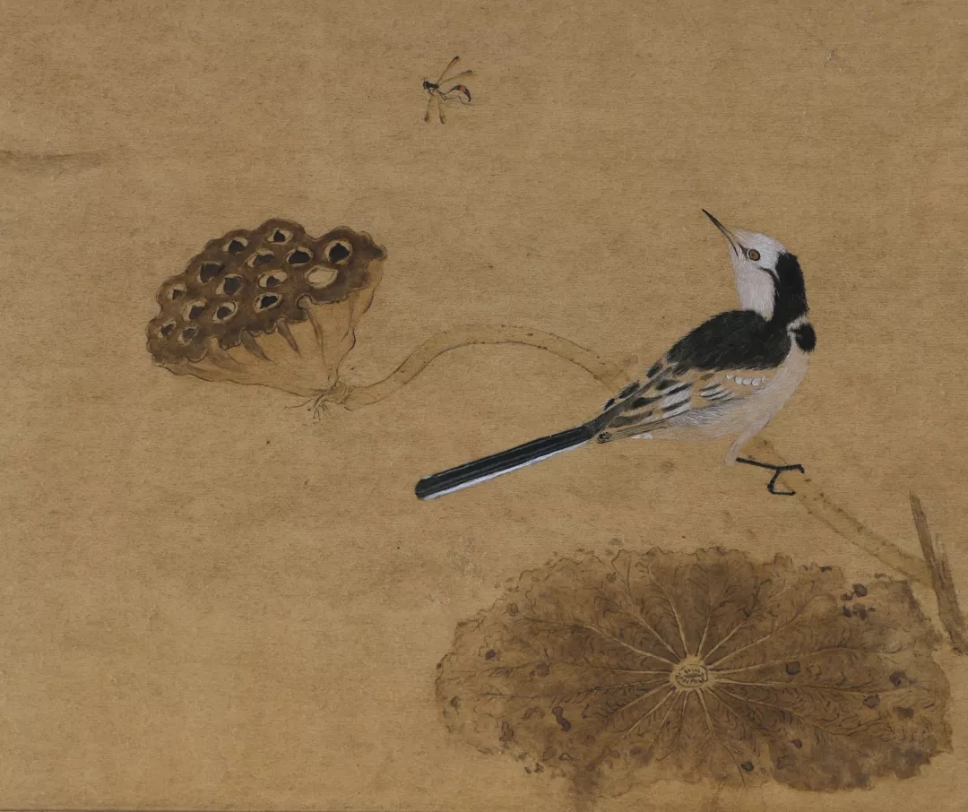 沈娟作品