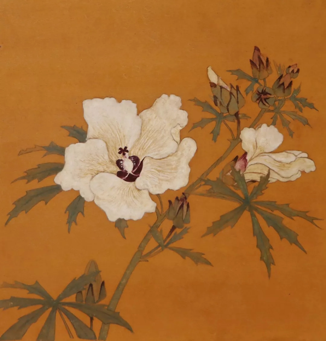 柏硕妍作品