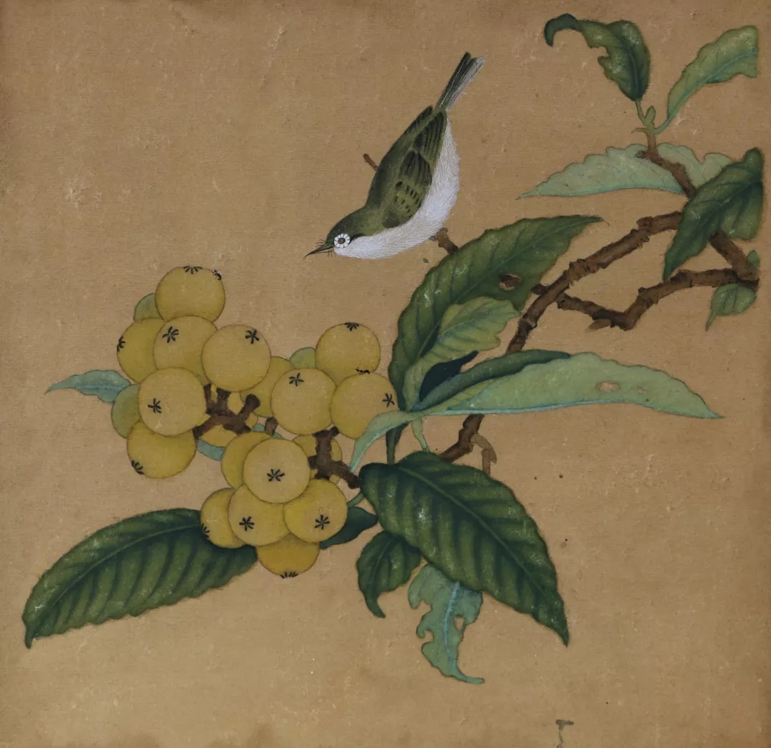 马玉蓉作品