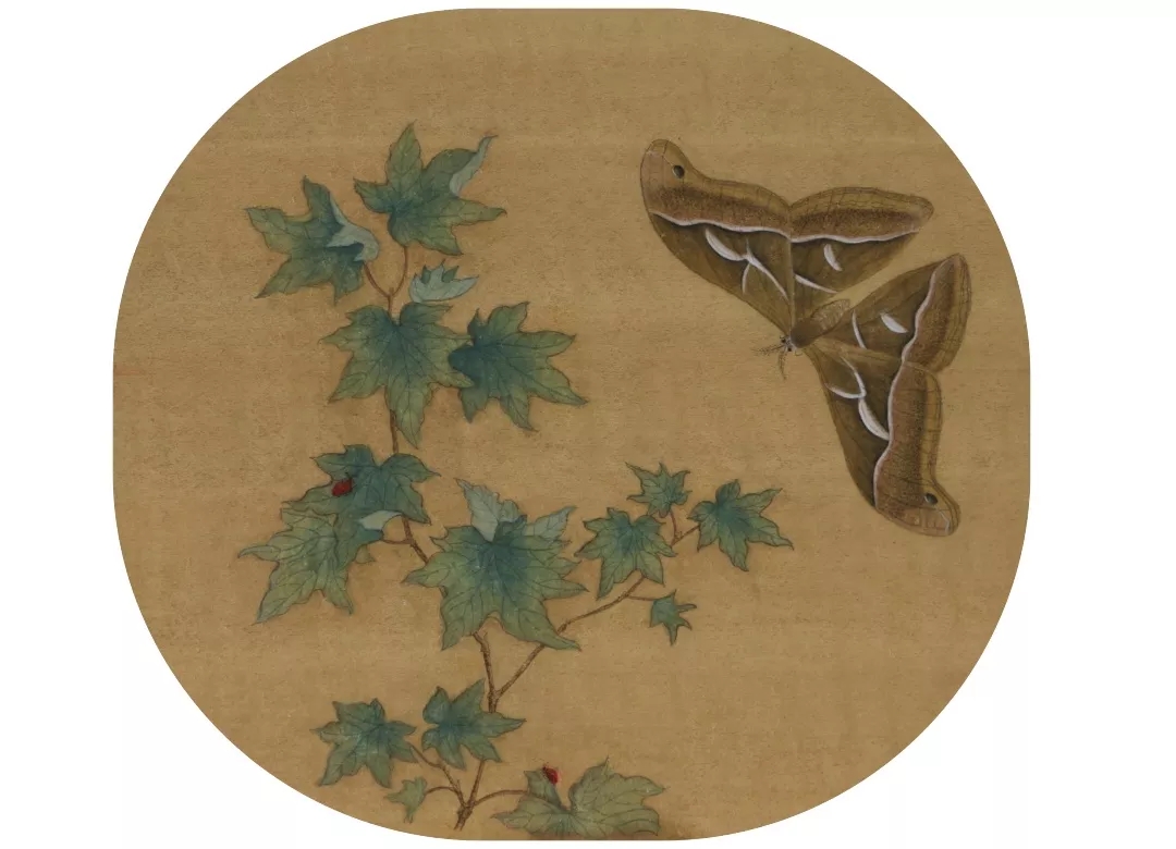 达明珠作品