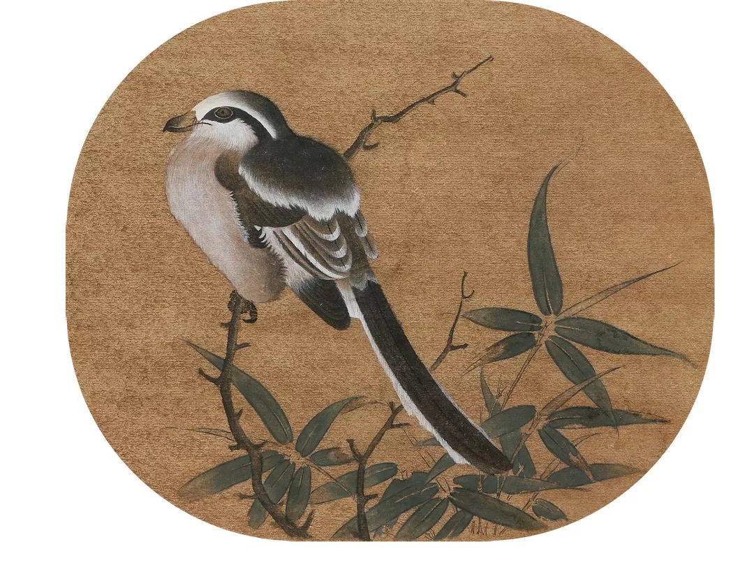 杨婷作品