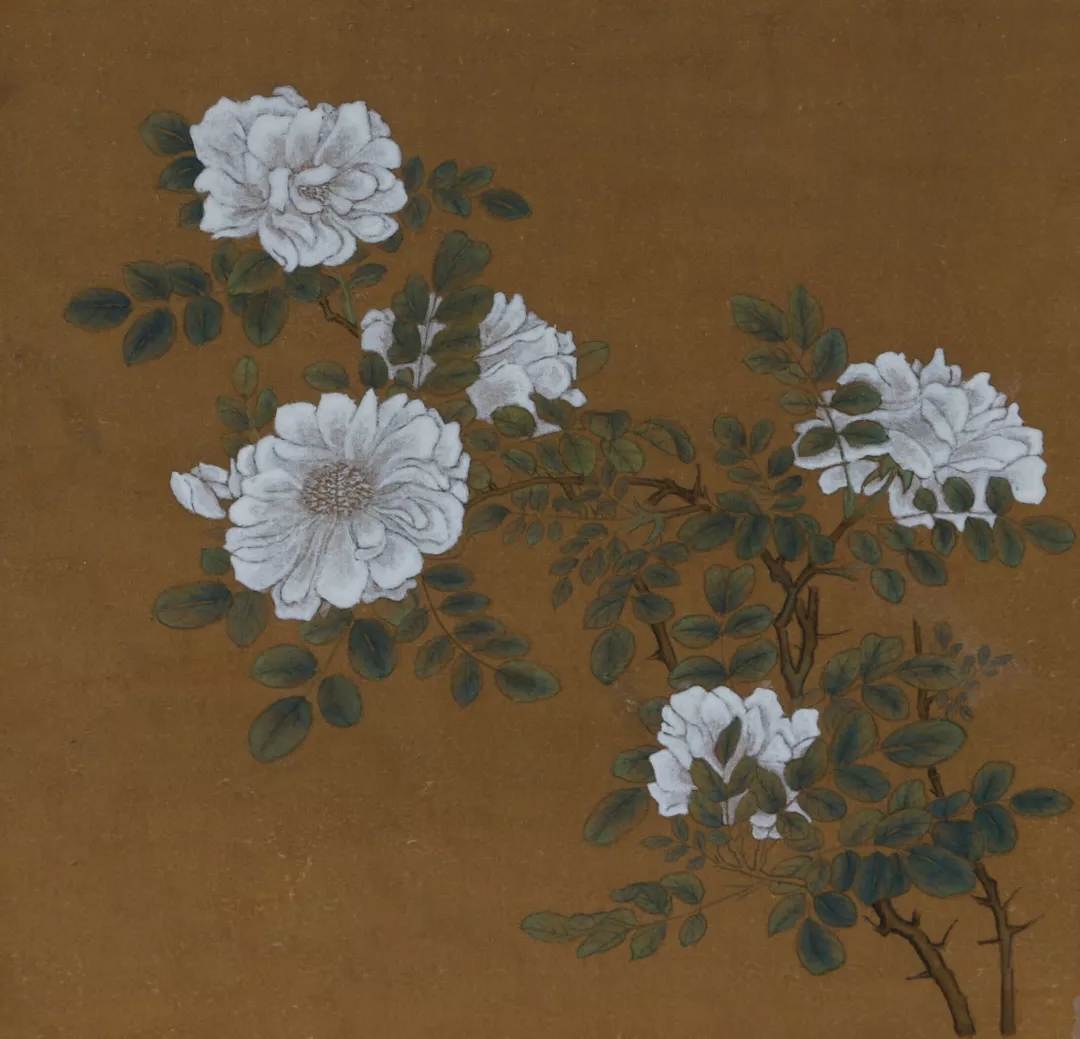 沈娟作品