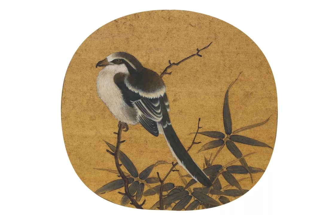 韩金晶作品