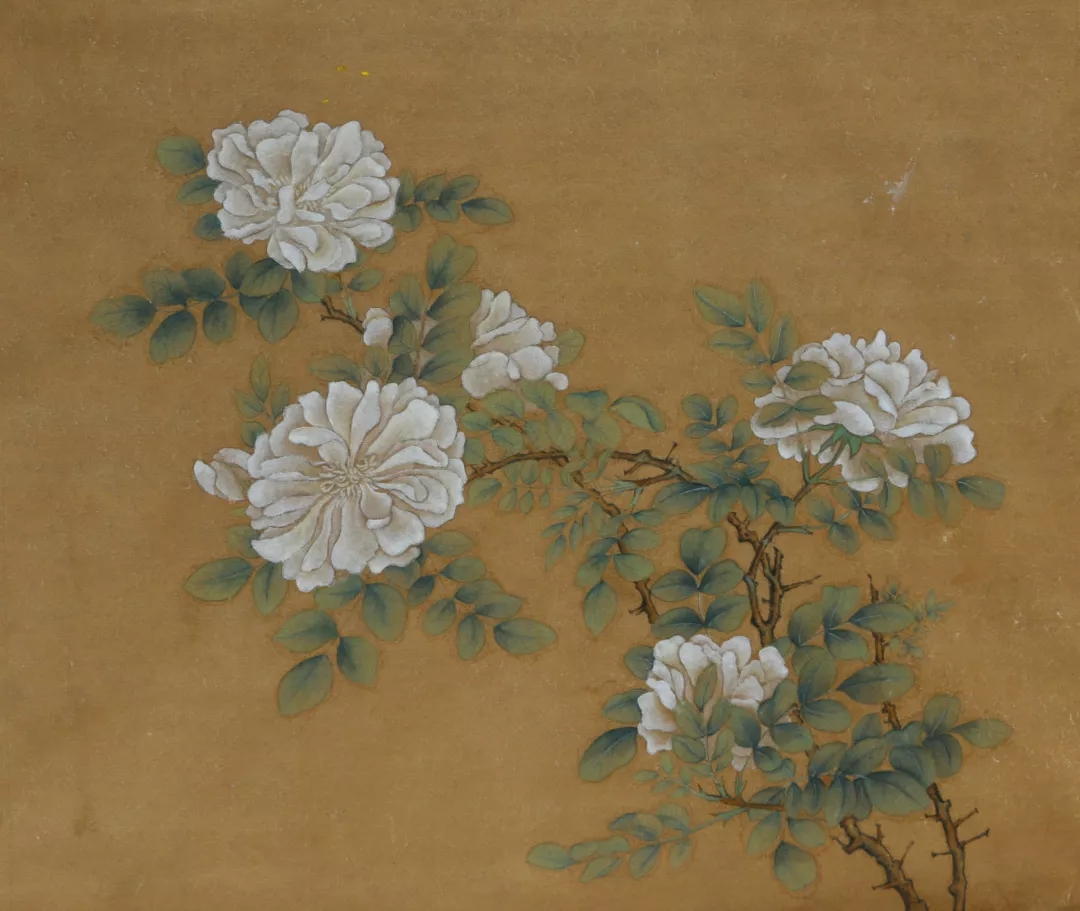 马彩花作品