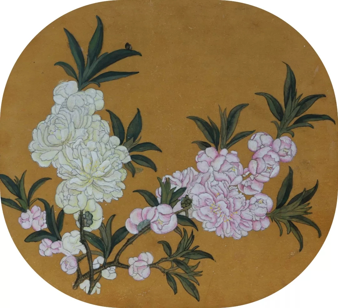 解梦月作品