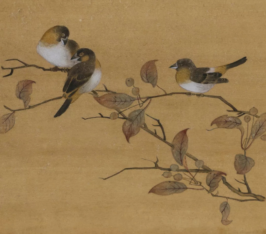 酒雅茜作品