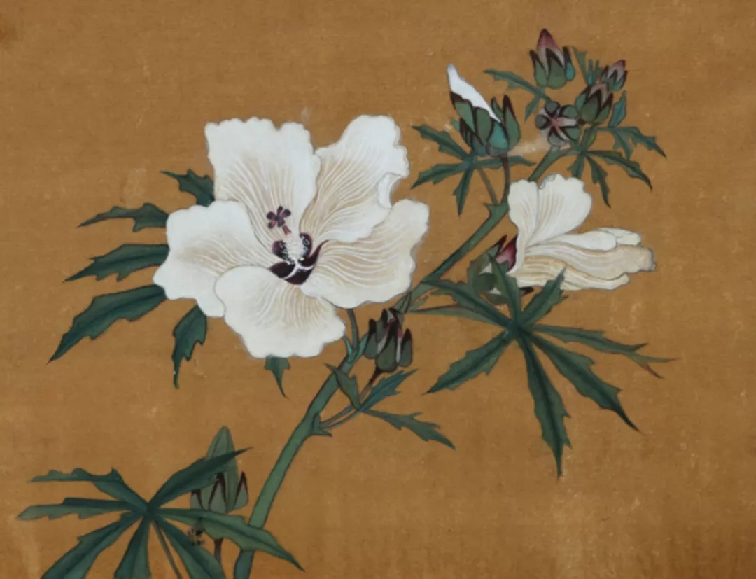 邓明丽作品