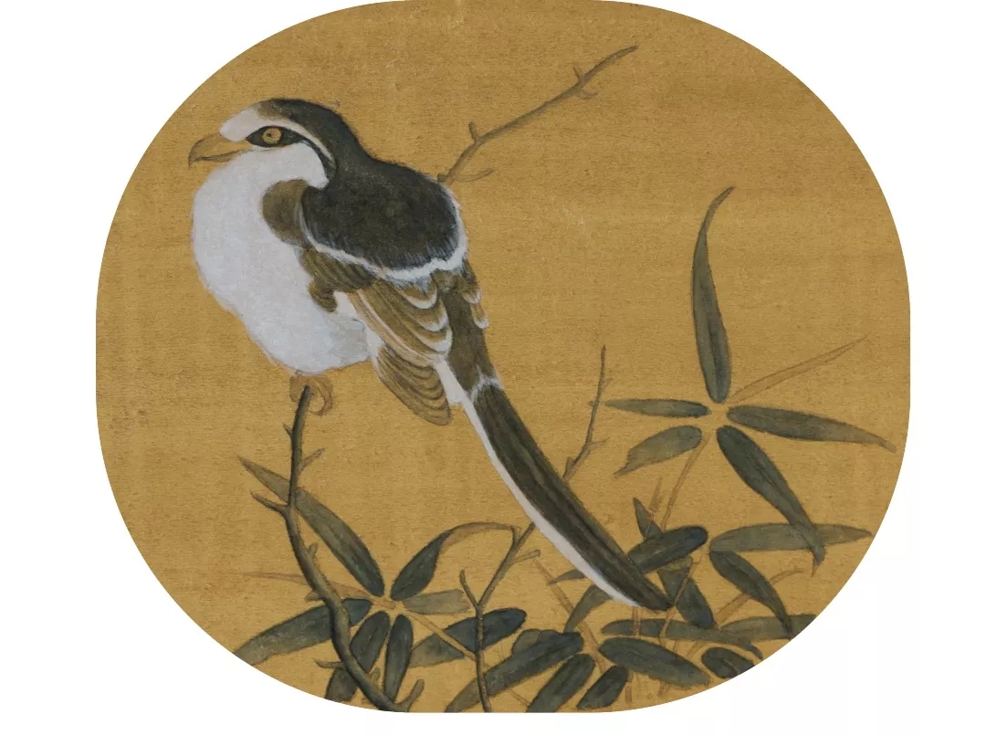 彭邵辉作品