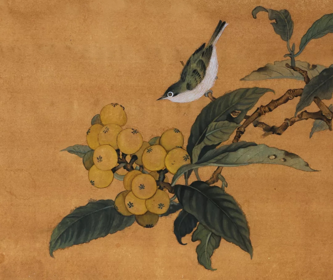 邓明丽作品