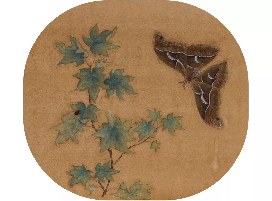 李思敏作品