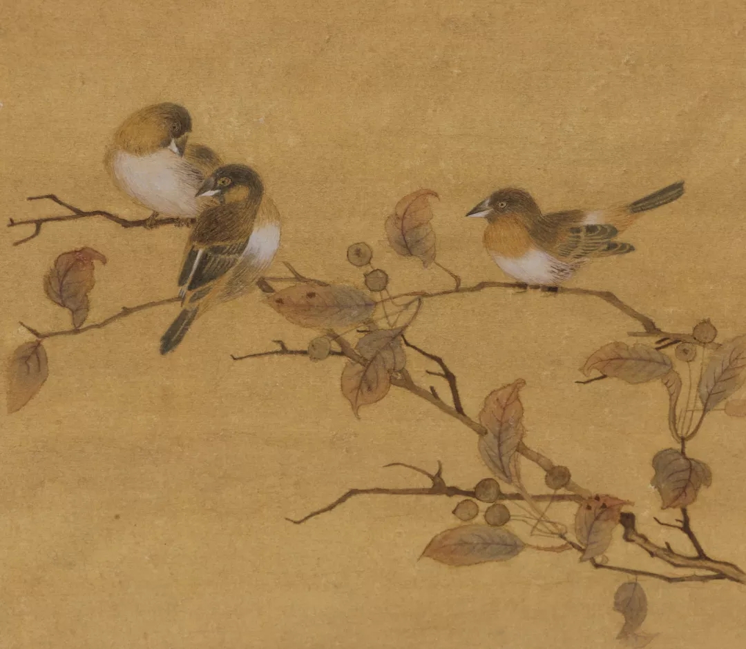 张雨默作品