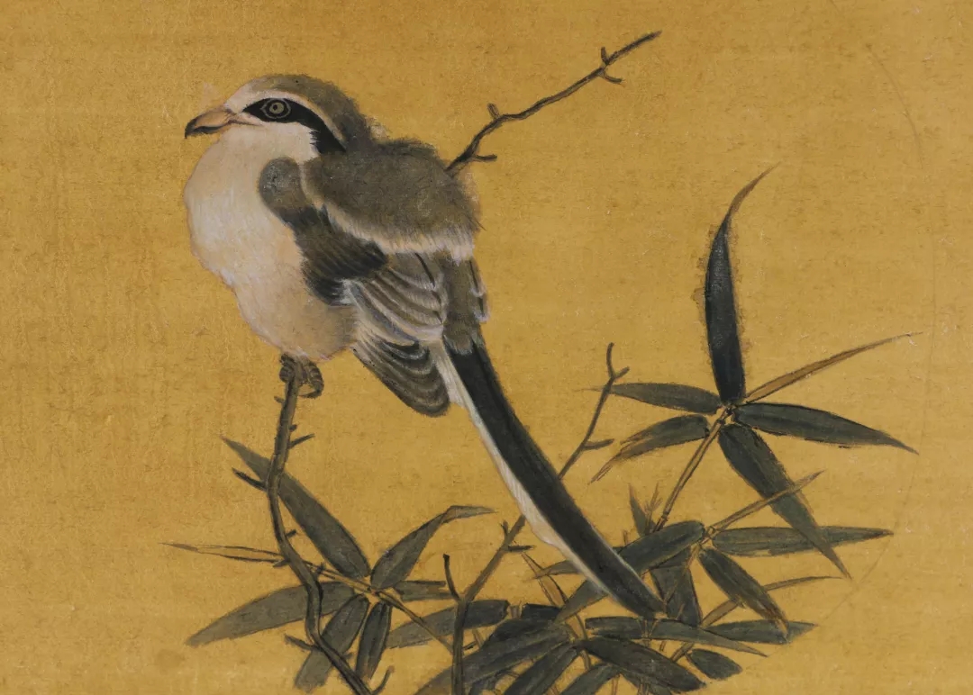 柏硕妍作品